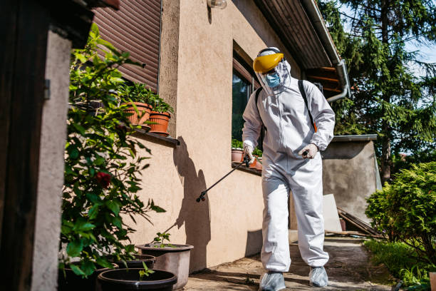 Best Pest Prevention Services  in Chicago Ridge, IL