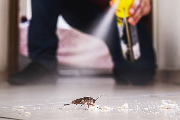 Best Pest Control for Restaurants  in Chicago Ridge, IL